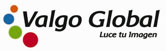Valgo Global logo