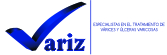 Variz logo