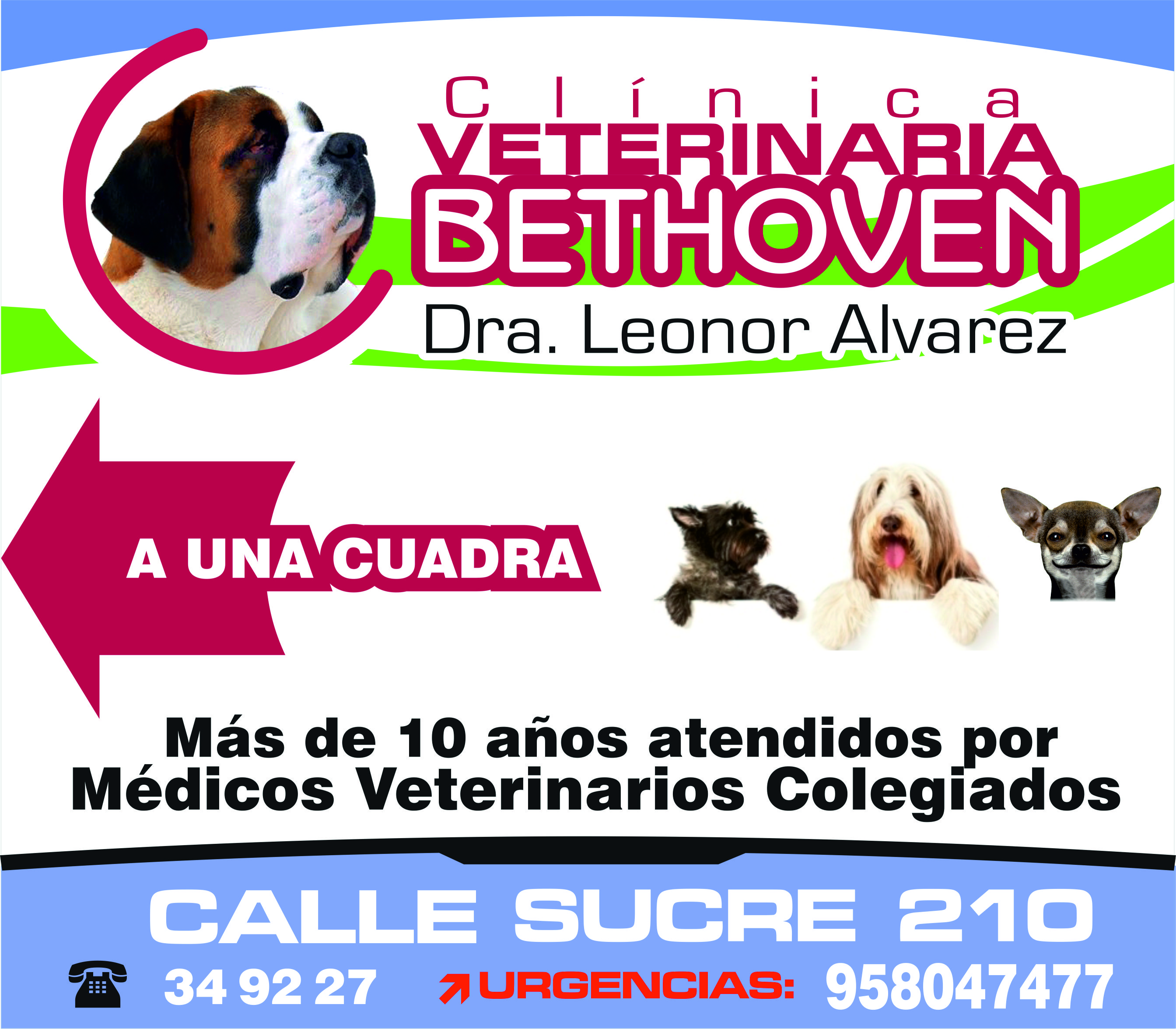 Veterinaria Bethoven logo