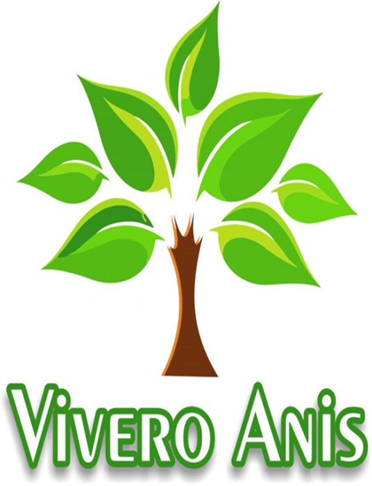 vivero anis logo