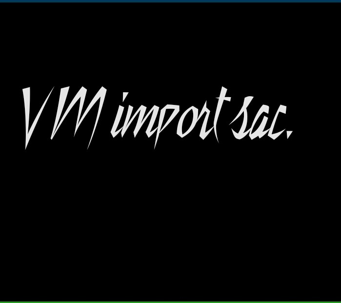 VM IMPORT SAC logo