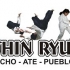 Goshin Ryu Perú - Artes Marciales & Fitness de Combate