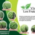 Vivero Los Frutales